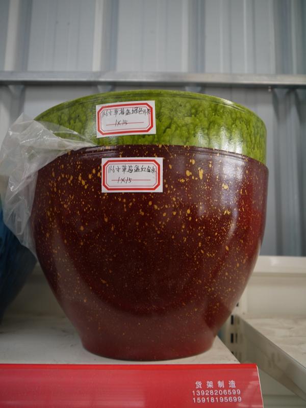 店铺最新产品上架5
